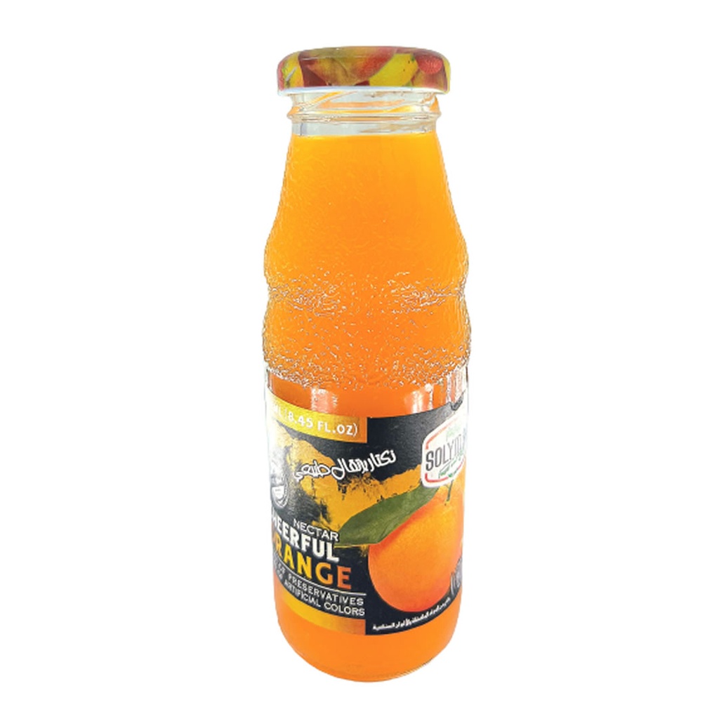 Solymarfood Mango Nectar Bottle 250ml
