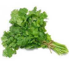 Coriander leaf - kg